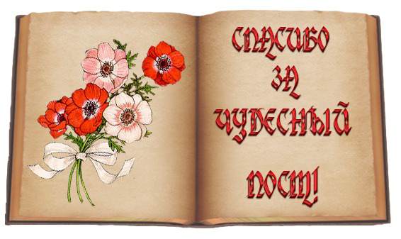 1e2c4bd5ddc7 (566x337, 27Kb)