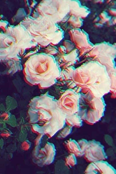 image (404x604, 94Kb)