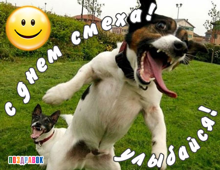 s-dnem-smeha (450x348, 46Kb)