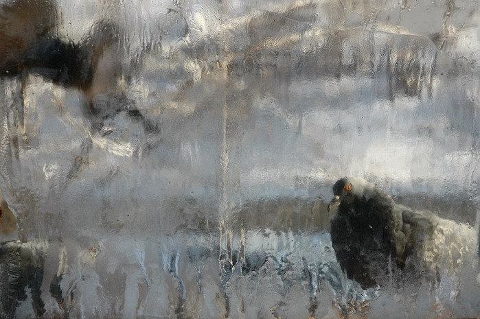 1195797967 (700x465, 112Kb)