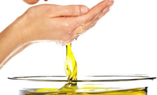 olive-oil2  (230x139, 12Kb)
