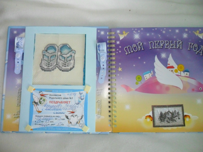 SAM_4906 (700x525, 386Kb)