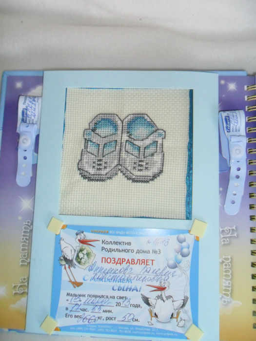 SAM_4907 (525x700, 378Kb)