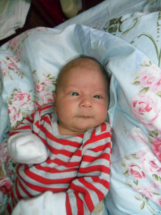 SAM_4875 (525x700, 395Kb)