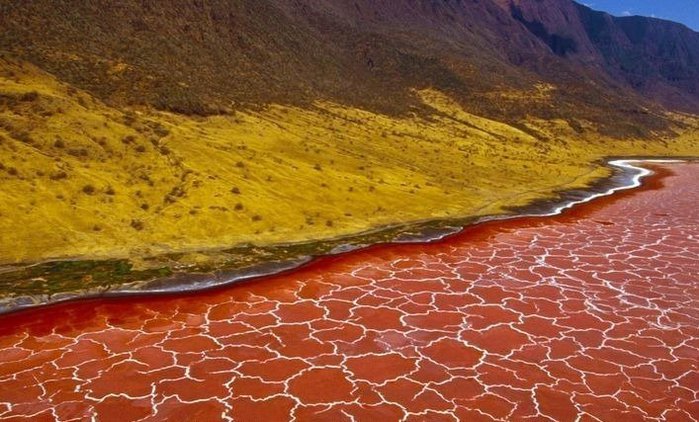 natron lake (1) (700x422, 85Kb)