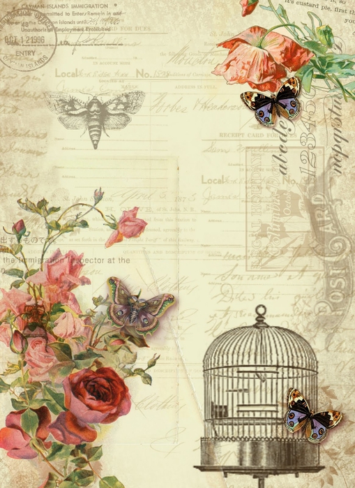 butterfly and rose (509x700, 296Kb)