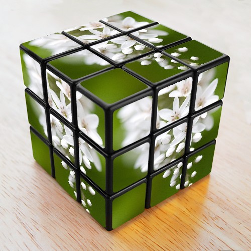 2705783_bf51f89ffffa8d53_o (500x500, 73Kb)