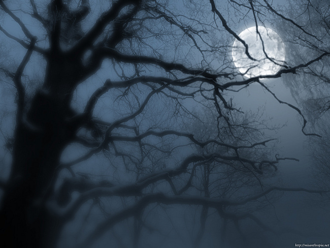 2681762_night_1 (650x488, 115Kb)