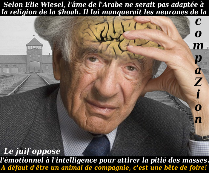 Elie Weisel est survivant de l'Oh Low Cost!/5046362_The_Brain (700x578, 241Kb)