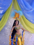  DSC09131_  (525x700, 387Kb)