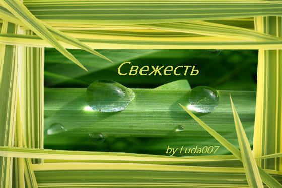 3427527__6_ (560x374, 542Kb)