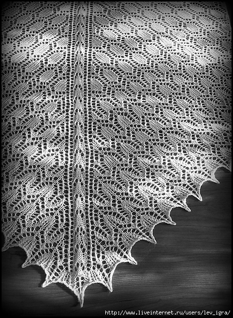2_medium2 (469x640, 362Kb)