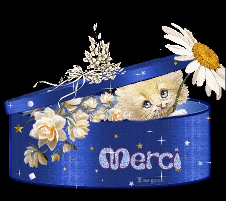 Merci (450x400, 59Kb)