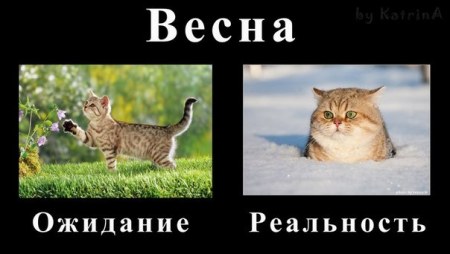 1668275_1363350563_8zodxrqygkc (450x254, 25Kb)