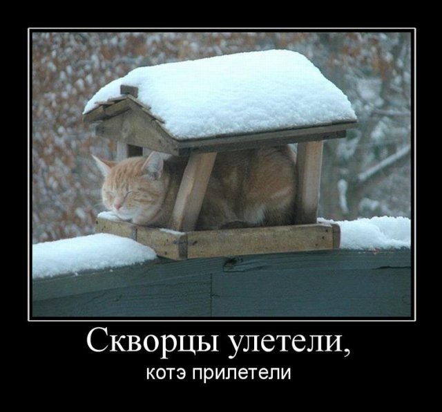 1295880315_213714_skvortsyi-uleteli (640x596, 55Kb)