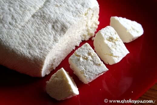 homemade-ricotta-cheese24 (518x346, 87Kb)