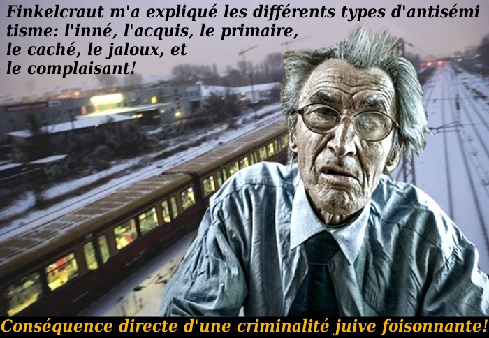 Les différents types d'antisémitisme sont l'inné, l'acquis, le primaire, le caché, le jaloux, et le complaisant./5046362_Foisonante (700x484, 182Kb)