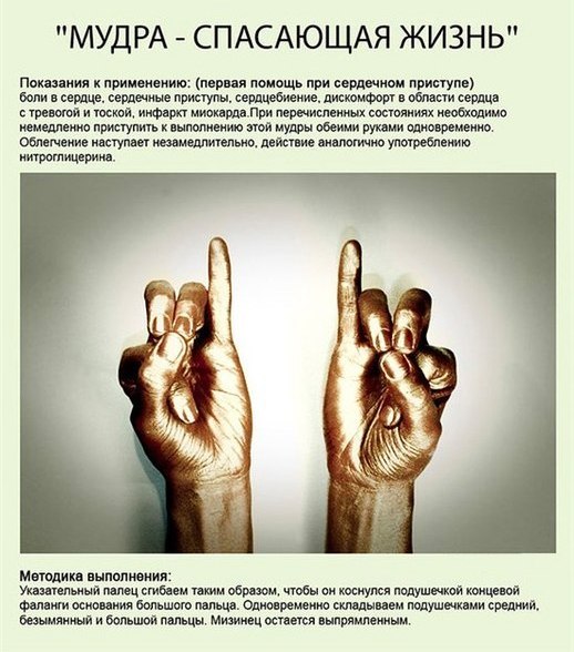 1365274399_98paaKH7qVY (518x588, 72Kb)