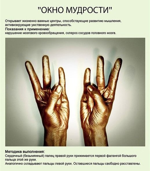 1365275827_l_DgLHjAHw (518x588, 68Kb)
