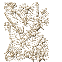 4686903_f73c9aac4ccbeafd2a531aa7040fb862 (200x200, 65Kb)