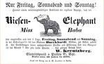  Ephemera-Advertisement-Elefant-MissBaba (1) (700x432, 107Kb)
