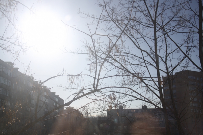 4052581_IMG_0151 (700x466, 243Kb)