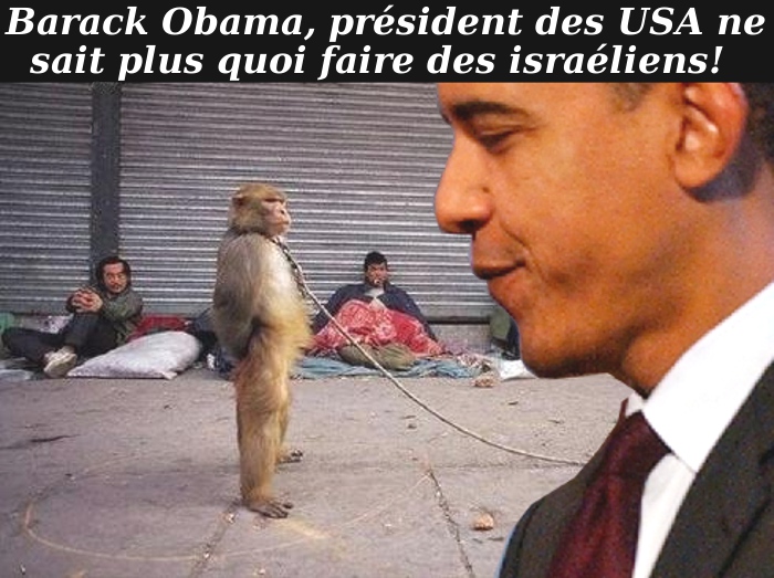 Barack Obama ne sait plus quoi faire de ses alliés sionistes./5046362_Laisses (700x523, 160Kb)