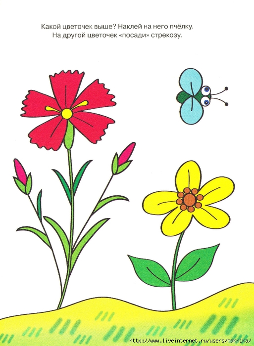 Части цветка картинки для детей дошкольного возраста