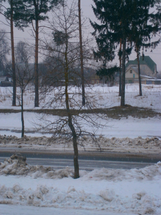 P4090023 (525x700, 209Kb)