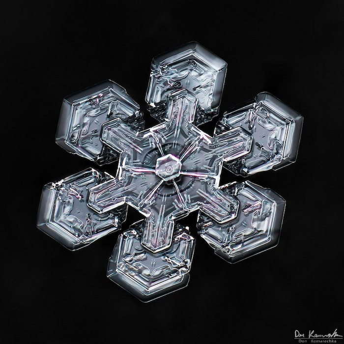 6 (700x700, 133Kb)