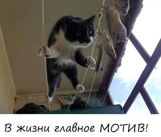 motiv (564x480, 37Kb)