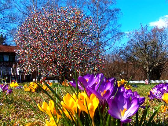 3252296_Eastereggtree7 (550x412, 98Kb)