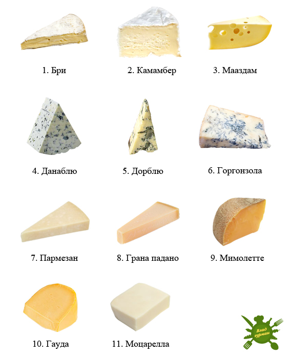 Какой твердый сыр не имеет корки и рисунка
