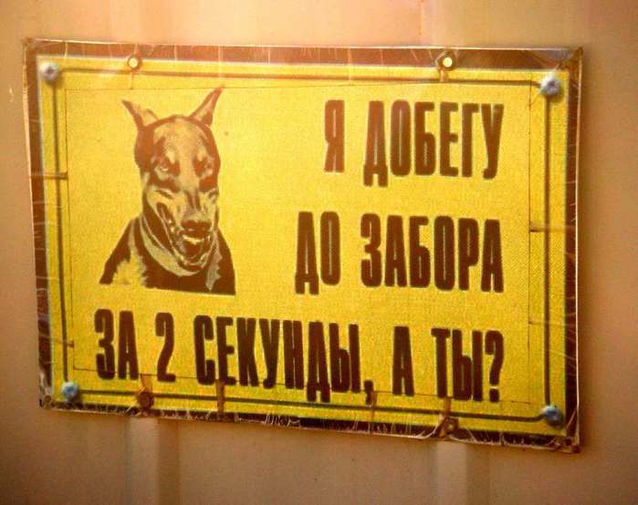 doberman (700x554, 43Kb)