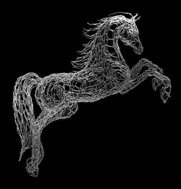 berrhorse (600x626, 52Kb)