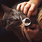 big_fotometki_image_703731c4 (135x135, 42Kb)