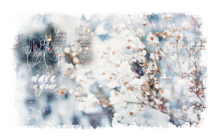 4728325_5 (426x273, 237Kb)