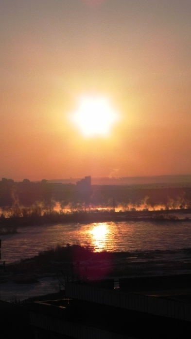 DSCN8973 (393x700, 144Kb)