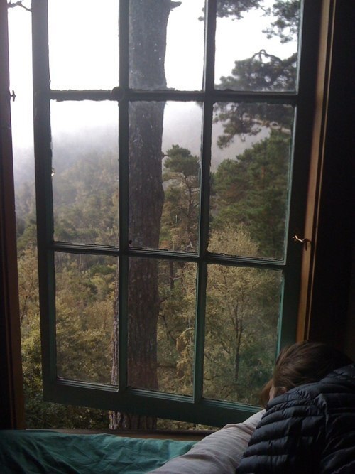 image (500x667, 94Kb)