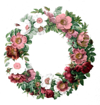  floralwreathpink (661x700, 415Kb)