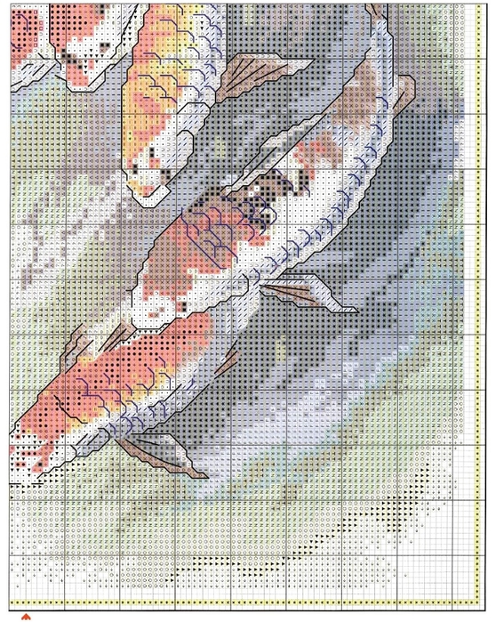 Carp4 (558x700, 401Kb)