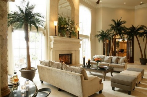 decoracion-de-salones-con-plantas-de-interior-02-480x319 (480x319, 46Kb)