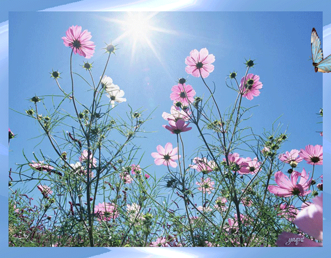  (650x507, 2704Kb)