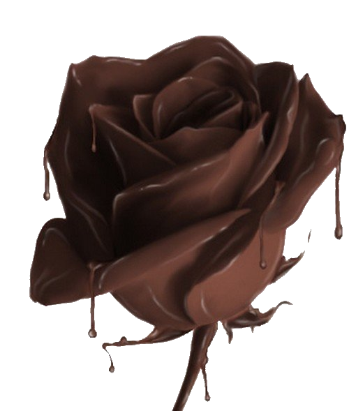 1313672970_chocolate_rose.86193223 (500x589, 264Kb)