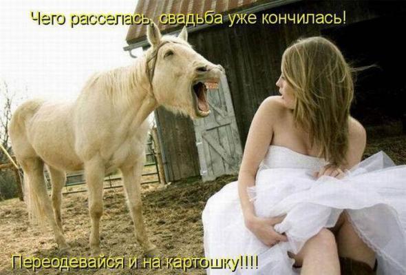   (590x399, 42Kb)