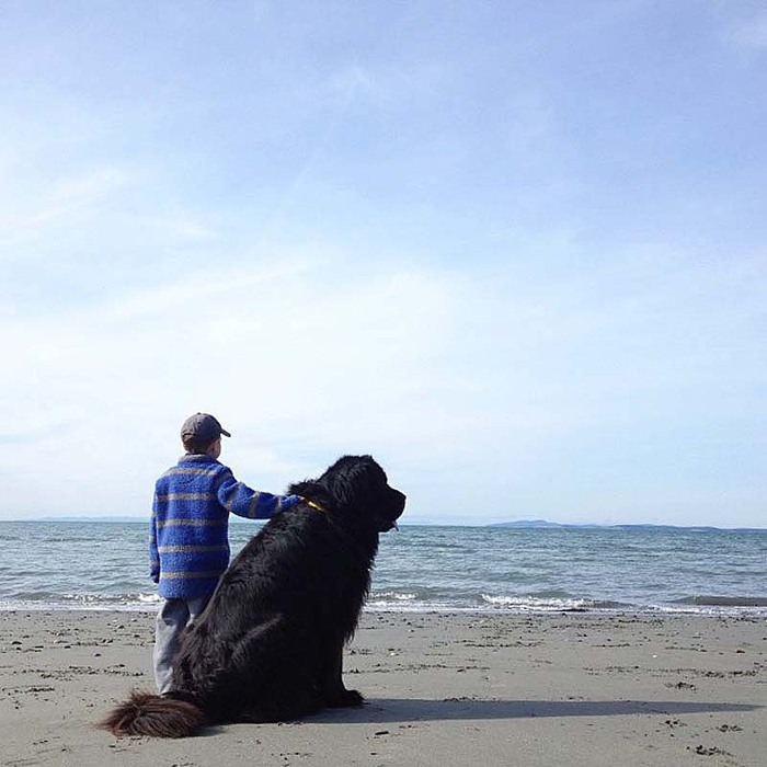 Genuine-Love-Between-a-Little-Boy-and-His-Big-Dog-12 (700x700, 86Kb)