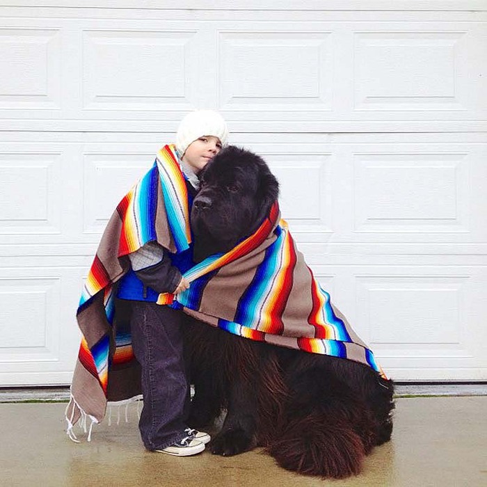 Genuine-Love-Between-a-Little-Boy-and-His-Big-Dog-7 (700x700, 109Kb)