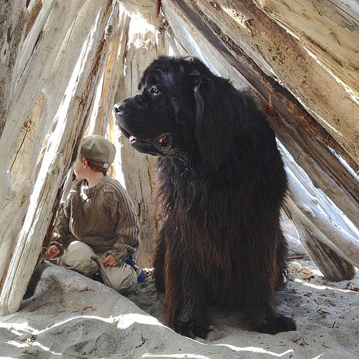 Genuine-Love-Between-a-Little-Boy-and-His-Big-Dog-10 (700x700, 185Kb)