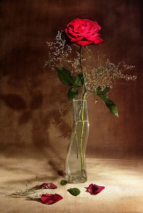 fa0fdbf87267 (470x700, 94Kb)