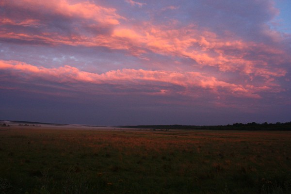 2970942__MG_1952 (600x400, 47Kb)